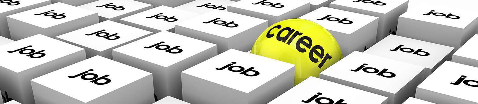 Career vs job sphere in cubes to illustrate a great work opportunities